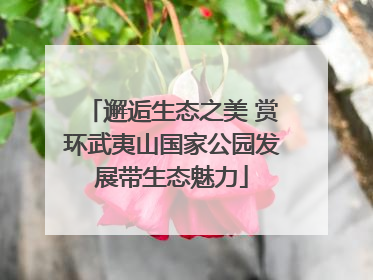 邂逅生态之美 赏环武夷山国家公园发展带生态魅力