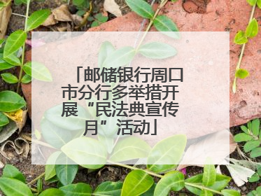 邮储银行周口市分行多举措开展“民法典宣传月”活动