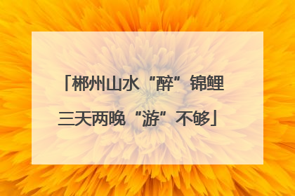 郴州山水“醉”锦鲤 三天两晚“游”不够