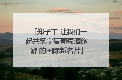 郑子丰 让我们一起共筑宁夏葡萄酒旅游 的国际新名片