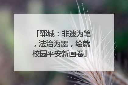 郓城：非遗为笔，法治为墨，绘就校园平安新画卷