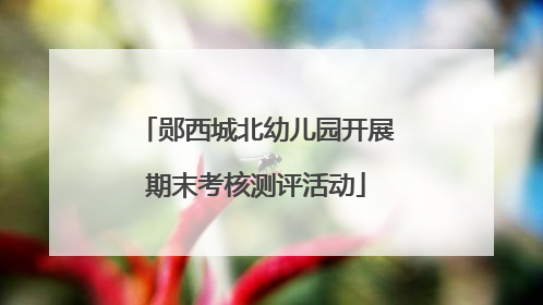 郧西城北幼儿园开展期末考核测评活动
