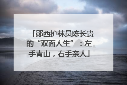 郧西护林员陈长贵的“双面人生”：左手青山，右手亲人