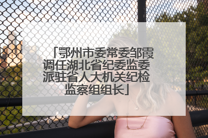 鄂州市委常委邹霞调任湖北省纪委监委派驻省人大机关纪检监察组组长