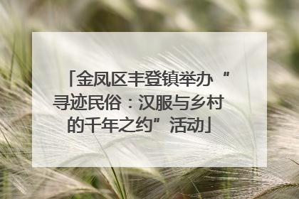 金凤区丰登镇举办“寻迹民俗：汉服与乡村的千年之约”活动