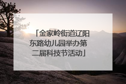 金家岭街道辽阳东路幼儿园举办第二届科技节活动