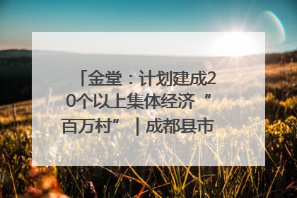 金堂：计划建成20个以上集体经济“百万村”｜成都县市新城高质量发展