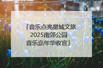 音乐点亮星城文旅 2025南郊公园音乐嘉年华收官