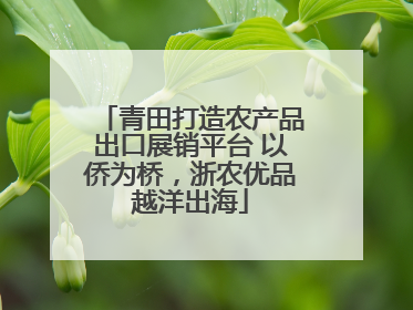 青田打造农产品出口展销平台 以侨为桥，浙农优品越洋出海