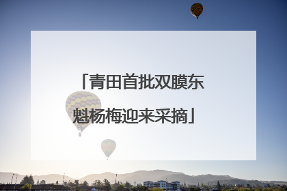 青田首批双膜东魁杨梅迎来采摘