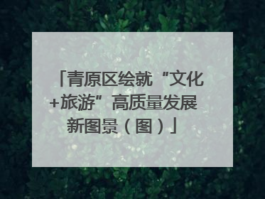 青原区绘就“文化+旅游”高质量发展新图景（图）