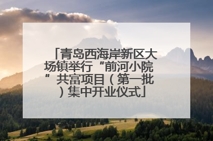 青岛西海岸新区大场镇举行“前河小院”共富项目（第一批）集中开业仪式