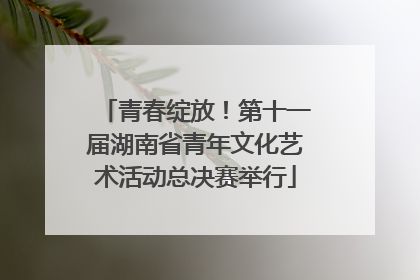 青春绽放！第十一届湖南省青年文化艺术活动总决赛举行