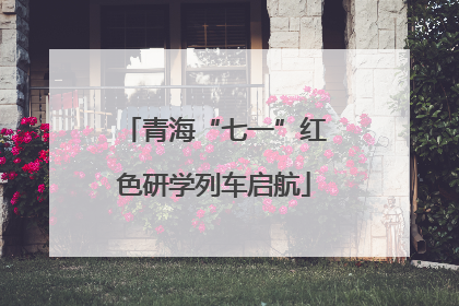 青海“七一”红色研学列车启航