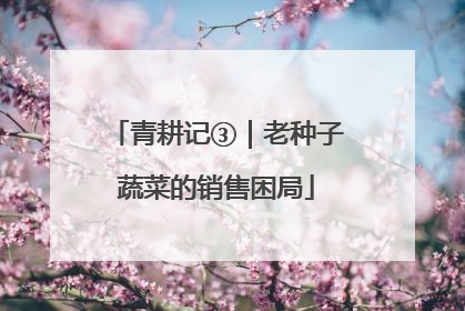 青耕记③｜老种子蔬菜的销售困局