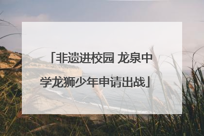 非遗进校园 龙泉中学龙狮少年申请出战