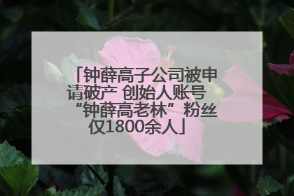 钟薛高子公司被申请破产 创始人账号“钟薛高老林”粉丝仅1800余人