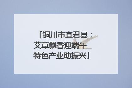 铜川市宜君县：艾草飘香迎端午 特色产业助振兴