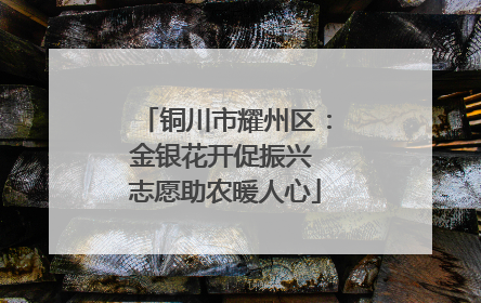 铜川市耀州区：金银花开促振兴 志愿助农暖人心