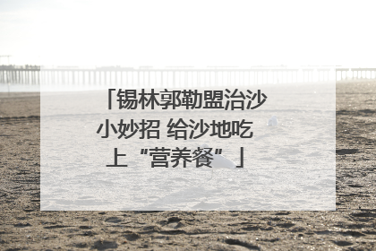 锡林郭勒盟治沙小妙招 给沙地吃上“营养餐”