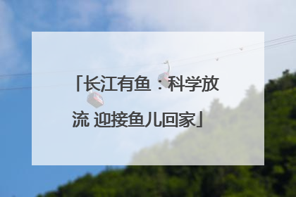 长江有鱼：科学放流 迎接鱼儿回家