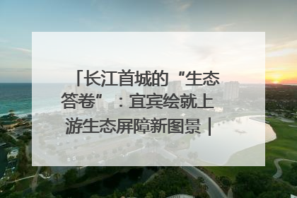 长江首城的“生态答卷”：宜宾绘就上游生态屏障新图景｜中华环保世纪行