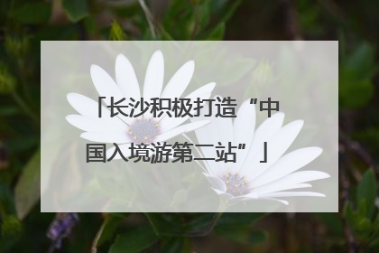 长沙积极打造“中国入境游第二站”