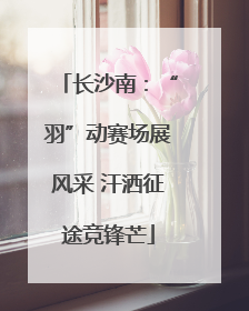 长沙南：“羽”动赛场展风采 汗洒征途竞锋芒