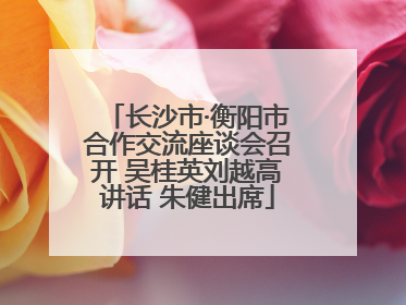 长沙市·衡阳市合作交流座谈会召开 吴桂英刘越高讲话 朱健出席