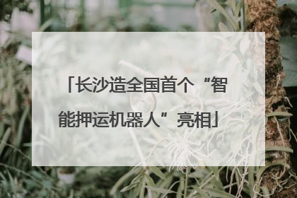 长沙造全国首个“智能押运机器人”亮相