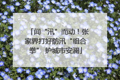 闻“汛”而动！张家界打好防汛“组合拳” 护城市安澜