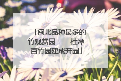 闽北品种最多的竹观赏园——杜潭百竹园建成开园
