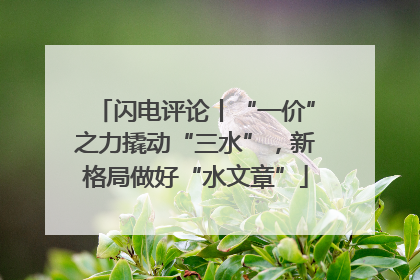 闪电评论丨“一价”之力撬动“三水”，新格局做好“水文章”
