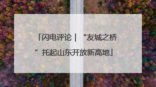 闪电评论｜“友城之桥”托起山东开放新高地