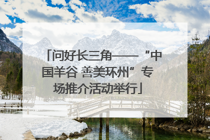 问好长三角——“中国羊谷 善美环州”专场推介活动举行