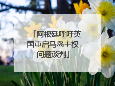 阿根廷呼吁英国重启马岛主权问题谈判