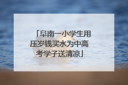阜南一小学生用压岁钱买水为中高考学子送清凉