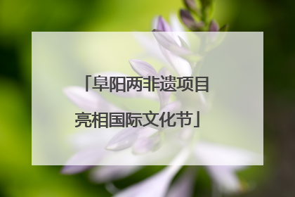 阜阳两非遗项目亮相国际文化节