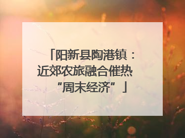 阳新县陶港镇：近郊农旅融合催热“周末经济”