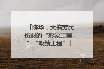 陈华，大搞劳民伤财的“形象工程”“政绩工程”