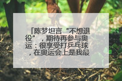 陈梦坦言“不想退役”，期待再参与奥运：很享受打乒乓球，在奥运会上是我最幸福的时候