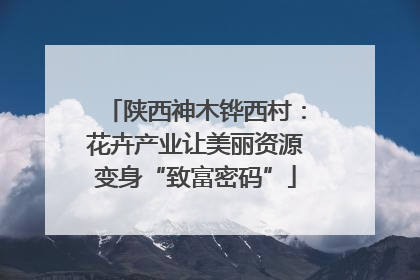 陕西神木铧西村：花卉产业让美丽资源变身“致富密码”