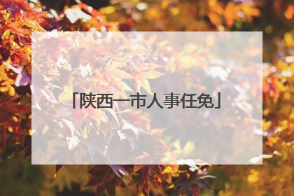 陕西一市人事任免