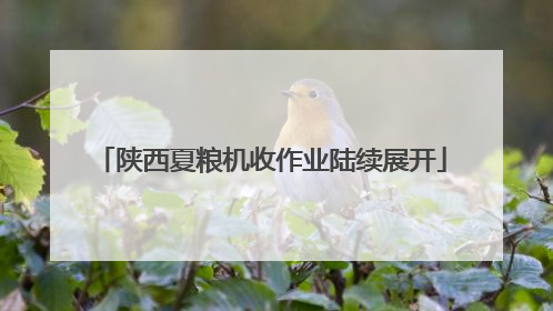 陕西夏粮机收作业陆续展开