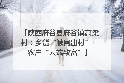 陕西府谷县府谷镇高梁村：乡货“触网出村” 农户“云端致富”