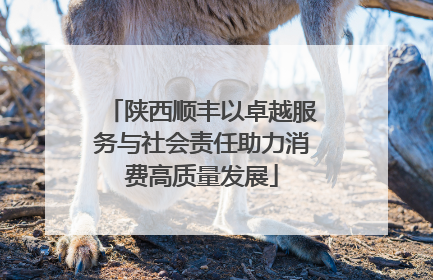 陕西顺丰以卓越服务与社会责任助力消费高质量发展