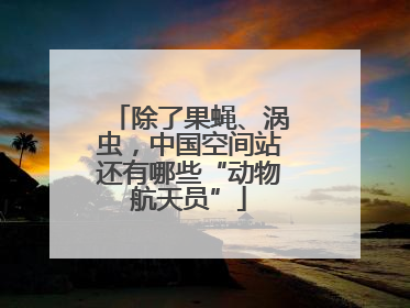除了果蝇、涡虫，中国空间站还有哪些“动物航天员”