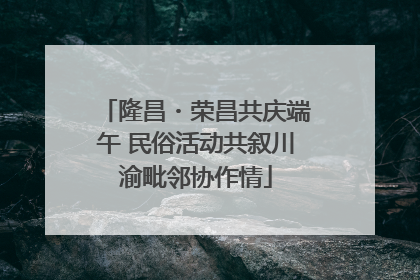 隆昌・荣昌共庆端午 民俗活动共叙川渝毗邻协作情