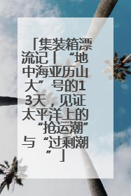 集装箱漂流记丨“地中海亚历山大”号的13天，见证太平洋上的“抢运潮”与“过剩潮”