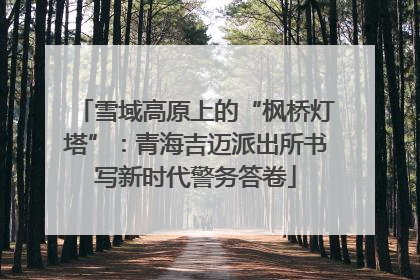 雪域高原上的“枫桥灯塔”：青海吉迈派出所书写新时代警务答卷